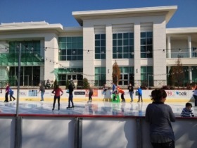Skatingin park