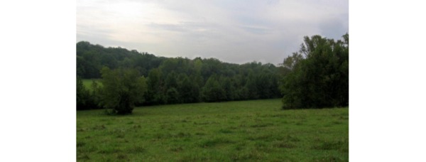 Family Legacy Farmland Preserved in Limestone County