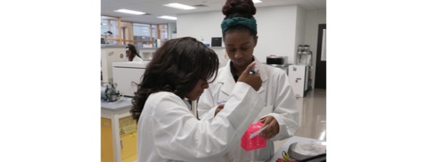 Applications Open for Science Fellowship Research Positions for Recent College Graduates