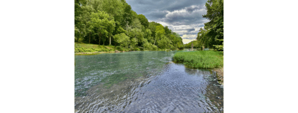 Untitled 2025 08 08T125753.983