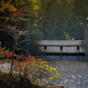 Untitled 2025 11 07T130154.875