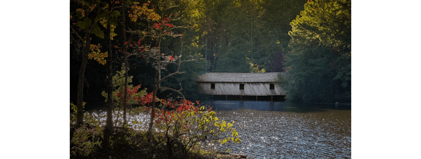 A Thanksgiving Letter from the Editor 1 Untitled 2025 11 07T130154.875