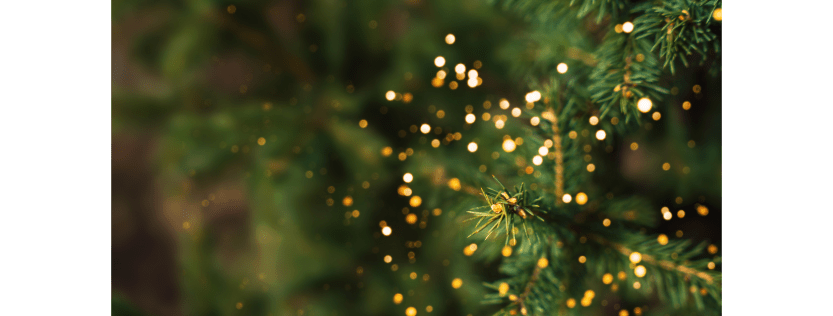 Merry Christmas and Happy Holidays! 1 Christmas