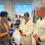 Untitled – 2026-03-24T121756.143 Untitled 2026 03 24T121756.143