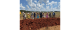Groundbreaking marks start of $2.2 billion Westmoo...